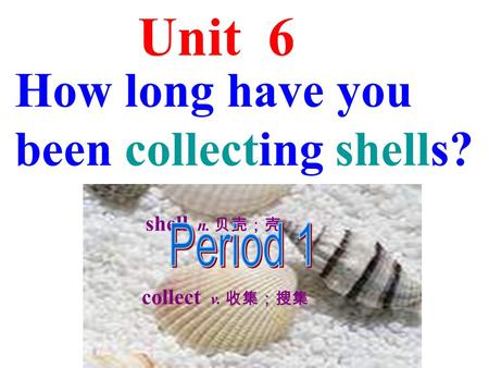 Unit 6 How long have you been collecting shells? collect v. 收集；搜集 shell n. 贝壳；壳.