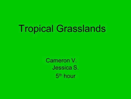 Tropical Grasslands Cameron V. Jessica S. 5 th hour.