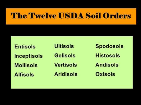 The Twelve USDA Soil Orders