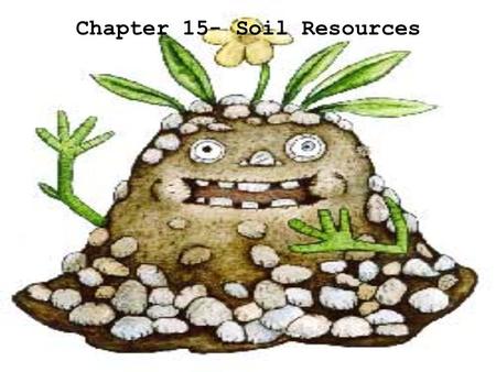 Chapter 15- Soil Resources Ecological Succession.