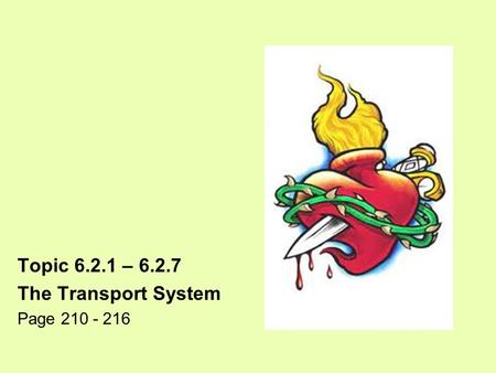 Topic 6.2.1 – 6.2.7 The Transport System Page 210 - 216.