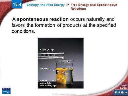 End Show Slide 1 of 28 © Copyright Pearson Prentice Hall > Entropy and Free Energy Free Energy and Spontaneous Reactions A spontaneous reaction occurs.