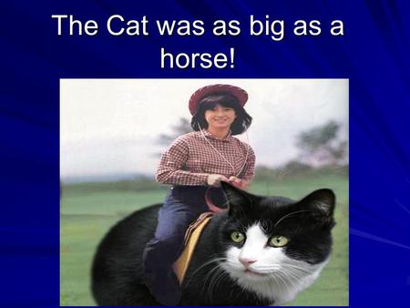 The Cat was as big as a horse! The Amazing Hyperbole! Grade 7: English Language Arts.