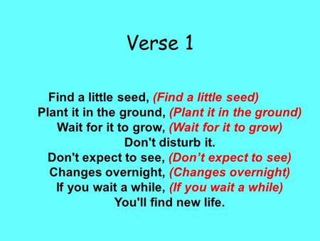 Verse 1 Find a little seed, (Find a little seed)