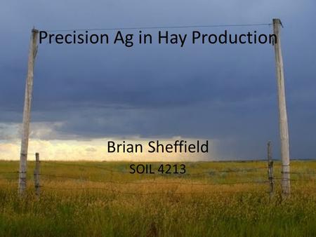 Precision Ag in Hay Production Brian Sheffield SOIL 4213.