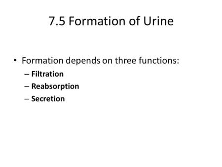 7.5 Formation of Urine Formation depends on three functions: