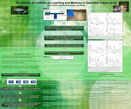 The Effects of Caffeine on Learning and Memory in Zebrafish (Danio rerio) Erica Pantelich, Department of Biology, York College INTRODUCTION:  Learning.