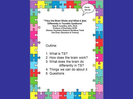 Outline: 1. What is TS? 2. How does the brain work? 3. What does the brain do differently in TS? 4. Things we can do about it 5. Questions.