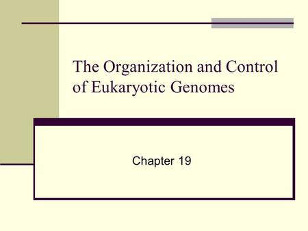 The Organization and Control of Eukaryotic Genomes