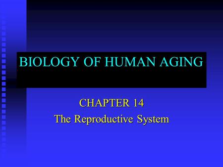 BIOLOGY OF HUMAN AGING CHAPTER 14 The Reproductive System.