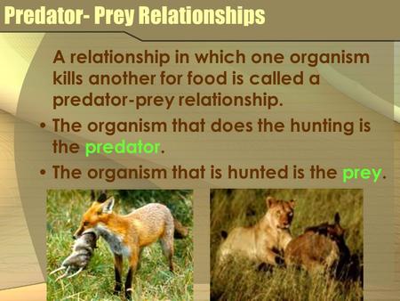 Predator- Prey Relationships