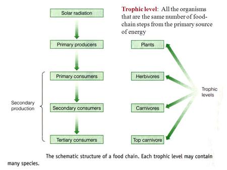 Trophic level: All the organisms that are the same number of food-chain steps from the primary source of energy.