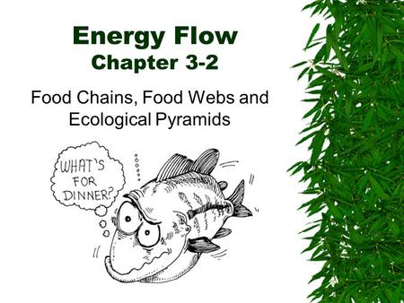 Energy Flow Chapter 3-2 Food Chains, Food Webs and Ecological Pyramids.