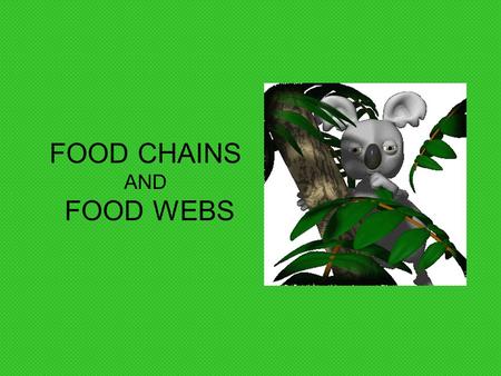 FOOD CHAINS AND FOOD WEBS. Break down dead plants and animals Bacteria and fungi are two examples Reduces dead organisms to simpler forms of matter Returns.