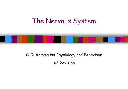 The Nervous System OCR Mammalian Physiology and Behaviour A2 Revision.