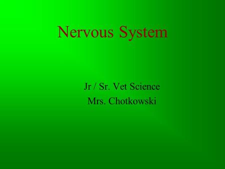 Nervous System Jr / Sr. Vet Science Mrs. Chotkowski.