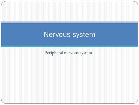 Peripheral nervous system Nervous system. Peripheral nervous system Nerves that branch from CNS and connect it to other body parts Cranial nerves Arise.