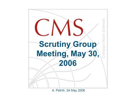 Scrutiny Group Meeting, May 30, 2006 A. Petrilli, 24 May 2006.
