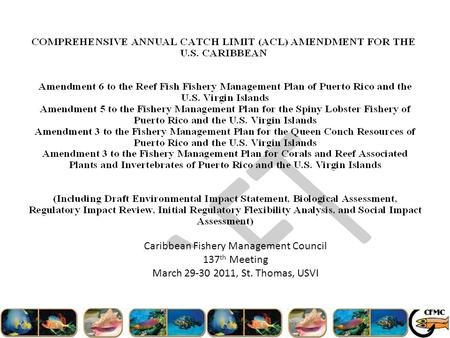 Caribbean Fishery Management Council 137 th Meeting March 29-30 2011, St. Thomas, USVI.