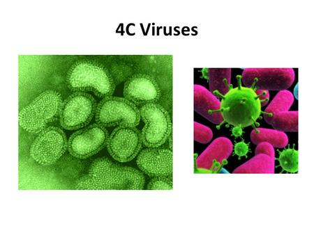 4C Viruses.