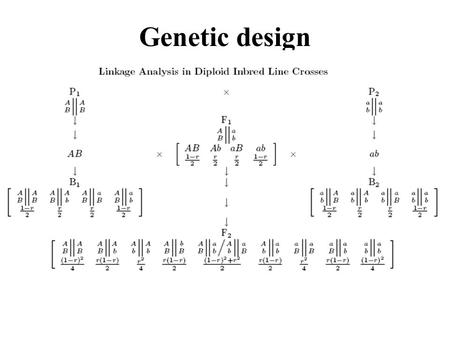 Genetic design. Testing Mendelian segregation Consider marker A with two alleles A and a BackcrossF 2 AaaaAAAaaa Observationn 1 n 0 n 2 n 1 n 0 Expected.