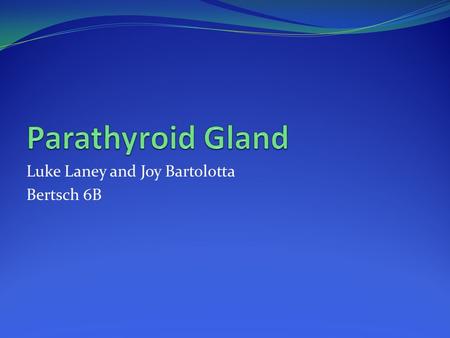 Luke Laney and Joy Bartolotta Bertsch 6B