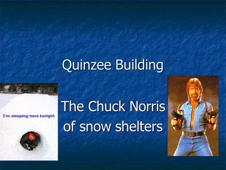 The Chuck Norris of snow shelters