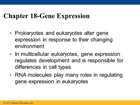 Chapter 18-Gene Expression