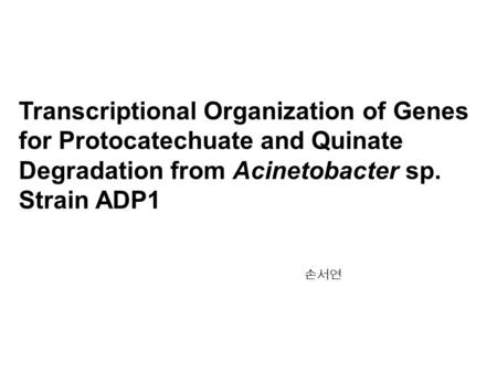 Transcriptional Organization of Genes for Protocatechuate and Quinate Degradation from Acinetobacter sp. Strain ADP1 손서연.