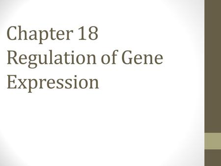 Chapter 18 Regulation of Gene Expression