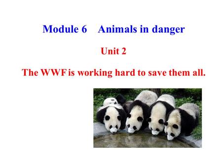 Module 6 Animals in danger Unit 2 The WWF is working hard to save them all.