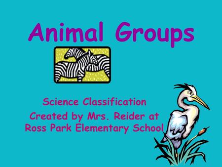 Animal Groups Science Classification Created by Mrs. Reider at Ross Park Elementary School.