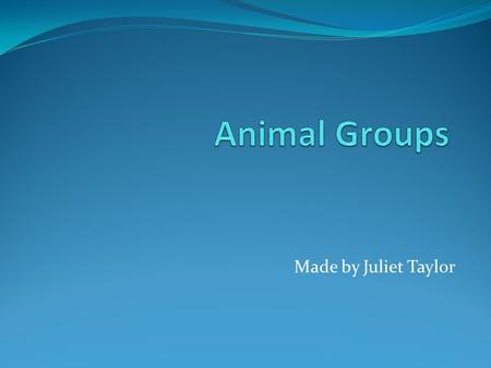 Animal Groups Made by Juliet Taylor.