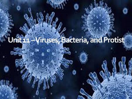 Unit 11 – Viruses, Bacteria, and Protist