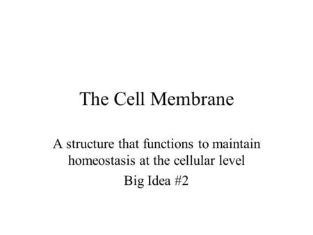 The Cell Membrane A structure that functions to maintain homeostasis at the cellular level Big Idea #2.