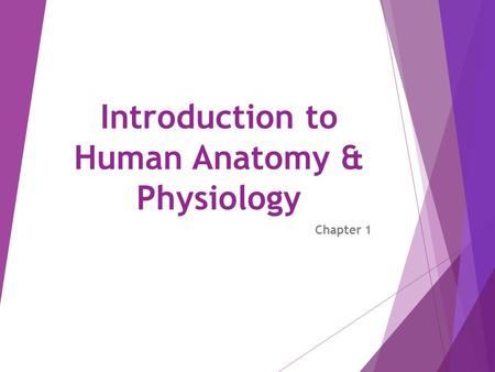 Introduction to Human Anatomy & Physiology Chapter 1.