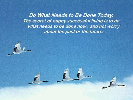Do What Needs to Be Done Today. The secret of happy successful living is to do what needs to be done now, and not worry about the past or the future.