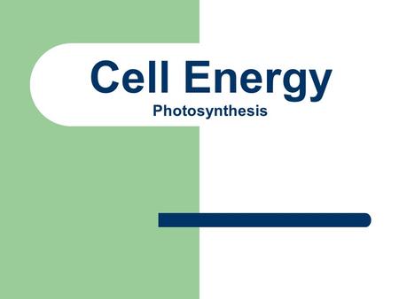Cell Energy Photosynthesis What do you know about photosynthesis? Answer the true/false questions using your prior knowledge about photosynthesis.