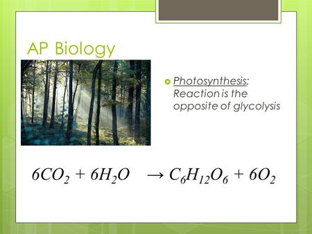 AP Biology 6CO2 + 6H2O → C6H12O6 + 6O2