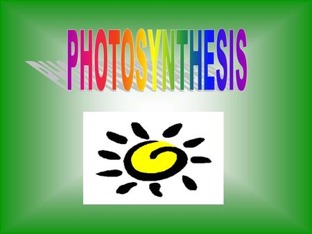 Photosynthesis Converts sunlight energy into chemical energy.