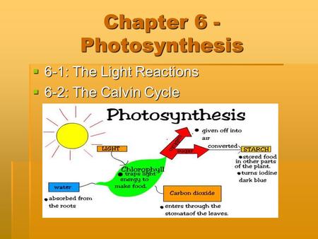 Chapter 6 - Photosynthesis