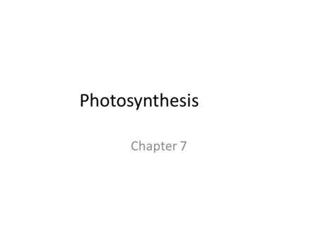 Photosynthesis Chapter 7.