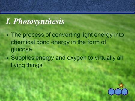 I. Photosynthesis  The process of converting light energy into chemical bond energy in the form of glucose  Supplies energy and oxygen to virtually all.
