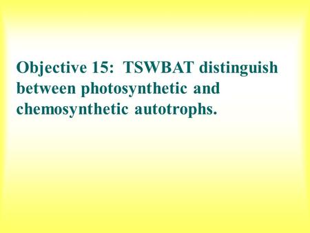 Objective 15: TSWBAT distinguish between photosynthetic and chemosynthetic autotrophs.