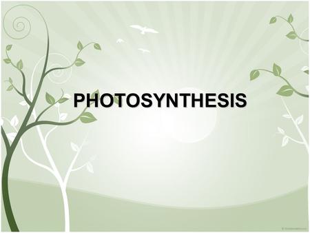 PHOTOSYNTHESIS. I. Autotrophs and Heterotrophs SUN Energy for living things comes from the SUN Plants and other organisms use light energy from the sun.