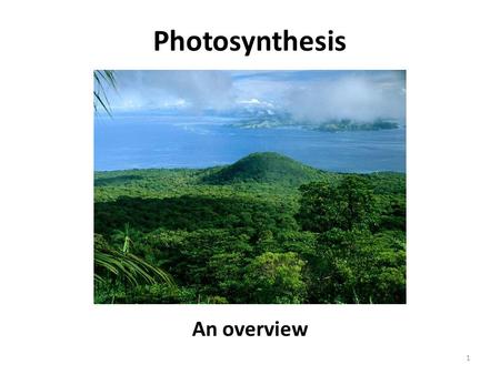 Photosynthesis An overview 1. Objectives SWBAT describe the process of photosynthesis SWBAT relate producers to photosynthesis 2.