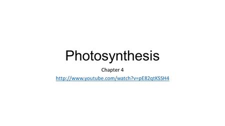 Photosynthesis Chapter 4