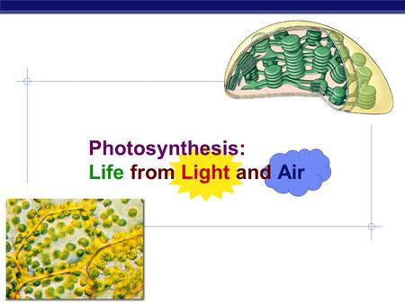 Photosynthesis: Life from Light and Air Energy needs of life  All life needs a constant input of energy  Heterotrophs (Animals)  get their energy.