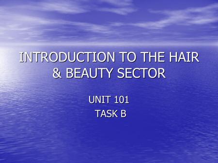 INTRODUCTION TO THE HAIR & BEAUTY SECTOR