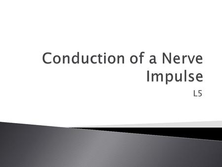 Conduction of a Nerve Impulse
